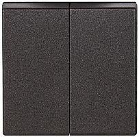 Лицевая панель Jung EcoProfi для 2-кл. выключателя антрацит картинка